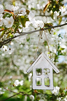 Little wooden house in Spring with blossom cherry