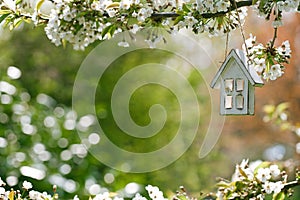 Little wooden house in Spring with blossom cherry