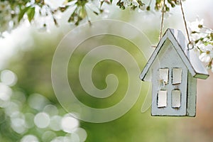 Little wooden house in Spring with blossom cherry flower