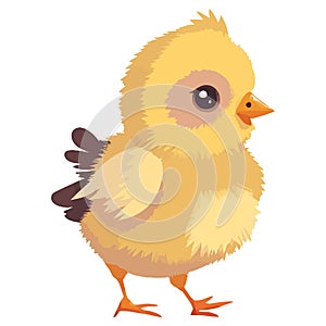 a little yellow chick that has just hatched from an egg.