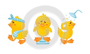 Little Yellow Chick Washing in Shower and Weighing Vector Set