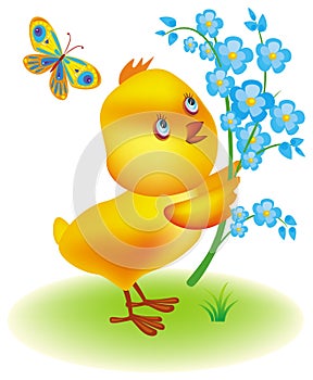 Little yellow chicken