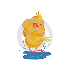 Little yellow chicken in a puddle. Vector illustration on white background.