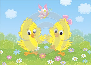 Little yellow chicks dancing