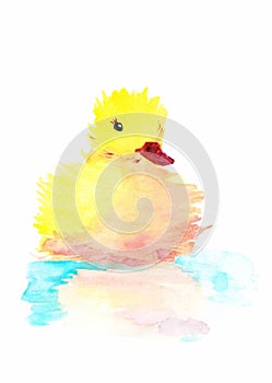 Little yellow duck swimming.