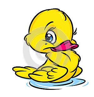 Little yellow duckling cartoon illustration
