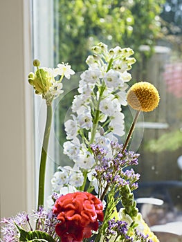 Little yellow flower in front of a window with refelctions, various other flowers in the background, Focus on yellow flowe