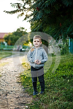 Little young caucasian boy in nature, childhood