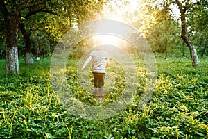 Little young caucasian boy in nature, childhood