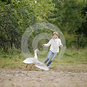 Little young girl in a white sweater and jeans running after goose on farm. Lifestyle portrait