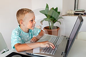 Little young school boy working at home with a laptop and class notes studying in a virtual class