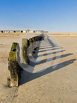 Littlehampton beach in winter