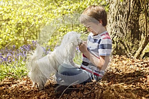 Little boy with his puppy dog in the forest