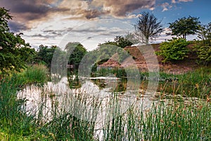 Littlemill Quarry Nature Reserve Pond