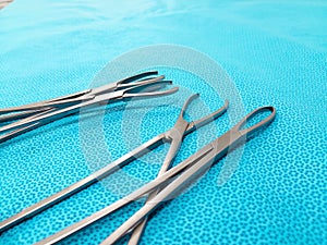 Littlewood Intestinal Tissue Grasping Forceps Tip