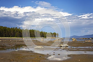 Littoral of the White Sea at low tide