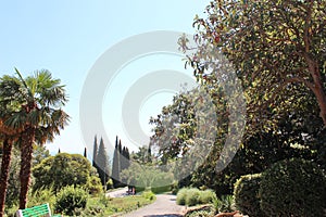 Livadia Palace. park in Livadiya, Crimea.