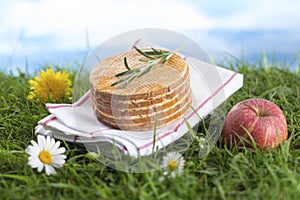 Livarot French cheese on grass and blue sky background