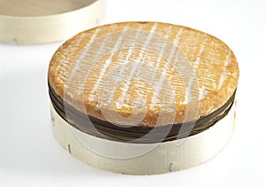 Livarot, French Cheese made in Normandy from Cow`s Milk