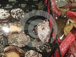 Live abalone in the pool, in the supermarket aquatic area