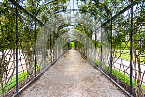 Live arch in Schonbrunn park, Vienna, Austria