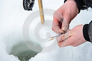 Live bait for pike fissh on hook lying on hand, winter ice fishing photo