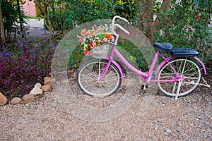 Live color bike parked in beautiful garden