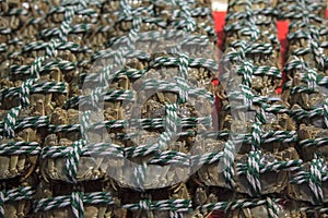 Live crabs roped on the Chinese market