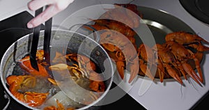 Live crayfish are thrown into boiling water for cooking. Cooking live crayfish.