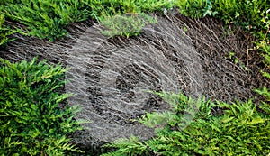 Texture and background for text