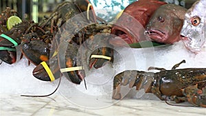 Live lobsters on a background of raw crabs and various fish on ice