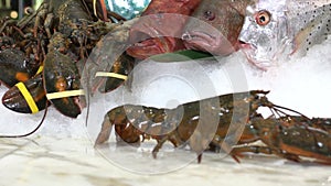 Live lobsters on a background of raw crabs and various fish on ice