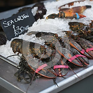Live lobsters on ice for sale