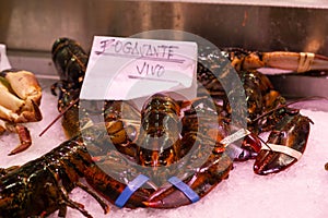 Live lobsters on ice in seafood shop
