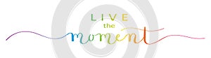 LIVE THE MOMENT colorful brush calligraphy banner