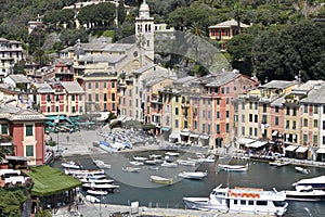 Live in Portofino