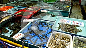 Live prawns in a tank at chun yeung wet market