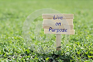 Live on purpose photo