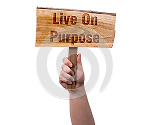Live on purpose wooden sign