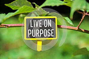 Live on purpose on board