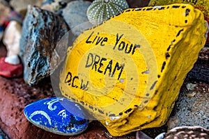 Live Your Dream