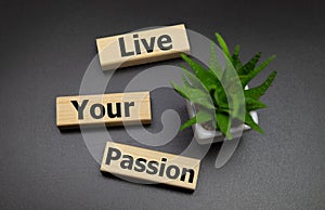 Live your passion words written on wooden blocks with copyspace. live your dream predestination self motivation coaching