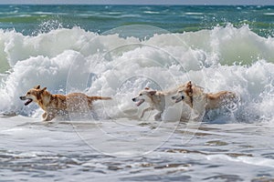 A lively group of dogs joyfully frolic and play in the crashing waves of the ocean, Animals playing in the ocean waves, AI