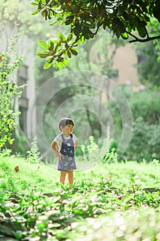 A lively little boy in blue overalls stands among the bushes in the park