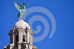 Liver Bird Perched on the Royal Liver Building