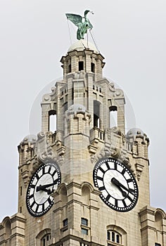 A Liver Bird on the Royal Liver Building