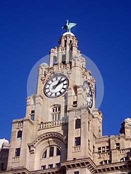 Liver building clock tower