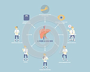 Liver cancer and anatomy, health care, liver disease infographic concept