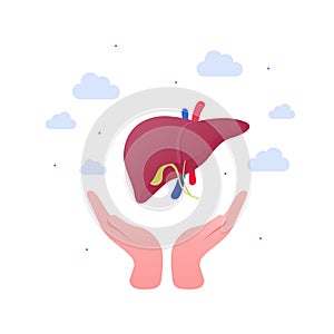 Liver disease, diagnosis and treatment concept. Vector flat illustration. Human hands holding liver organ. Design for health care