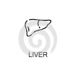 Liver flat icon